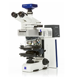 显微镜的结构及使用方法 